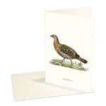 Greeting Card Capercaillie