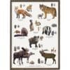Art Print Nordic Animal Tracks A4
