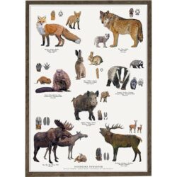 Art Print Nordic Animal Tracks A4