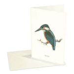 Greeting Card Kingfisher 