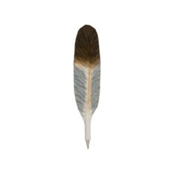 Pen Pigeon