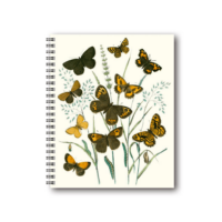 Notebook Brown Butterflies 21x26 CM