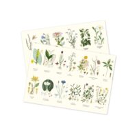 Place Mat Landscape Flowers