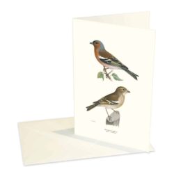 Greeting Card Chaffinch