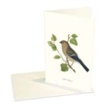 Greeting Card Single Bullfinch