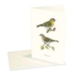 Greeting Card Siskin