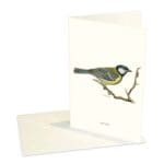 Greeting Card Great Tit