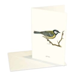 Greeting Card Great Tit