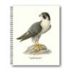 Notebook Peregrine 21x26 CM