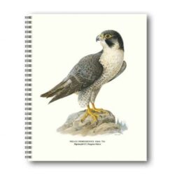 Notebook Peregrine 21x26 CM