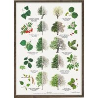 Poster Trees A4