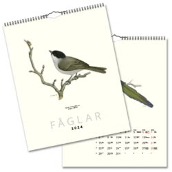 Wall Calendar Birds 2024