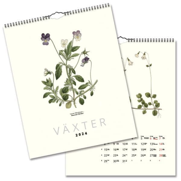 Wall Calendar Plants 2024