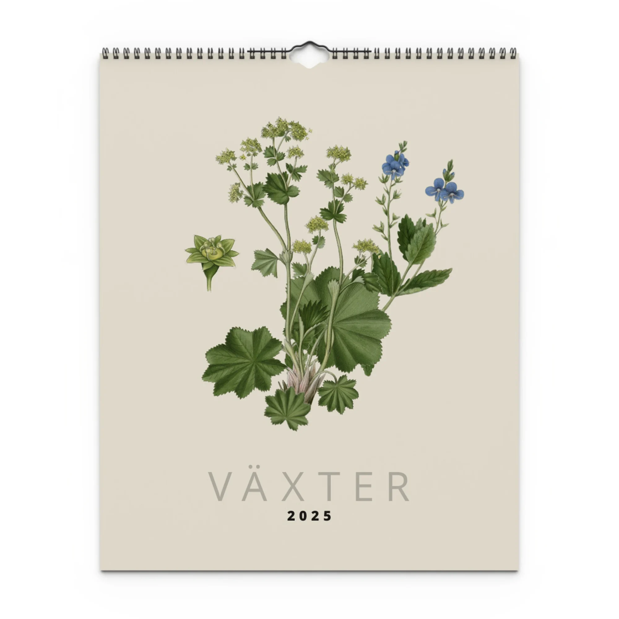 Väggkalender Växter 2025 - Bild 3