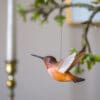 DecoBird Rufous Hummingbird - Image 2