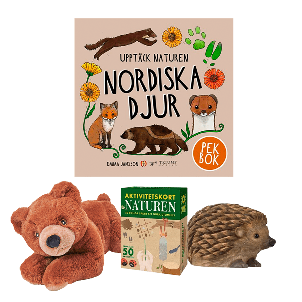 gift set kids wildlife