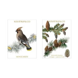 Christmas Mini Card - Bohemian Waxwing