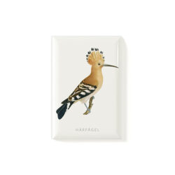 Magnet Eurasian Hoopoe