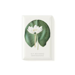 Magnet White Water-Lily