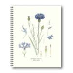 Notebook Cornflower 21x26 CM