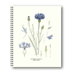 Notebook Cornflower 21x26 CM