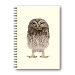 Notebook Cute Animals Owl