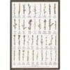 Poster Winter Branches A2