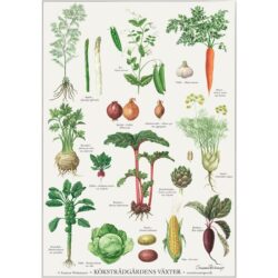 Poster Kitchen Garden A2