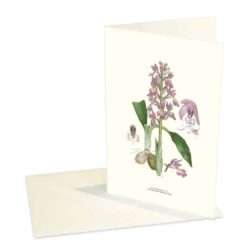 Greeting Card Early Purple Orchid