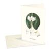 Greeting Card White Water Lily