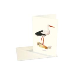 Greeting Card White Stork