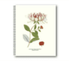 Skrivbok Vildkaprifol 21x26 CM - Bild 3