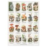 Affisch Ätbara Svampar Danska A2