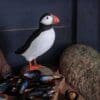 DecoBird Lunnefågel - Bild 2