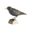 DecoBird Starling