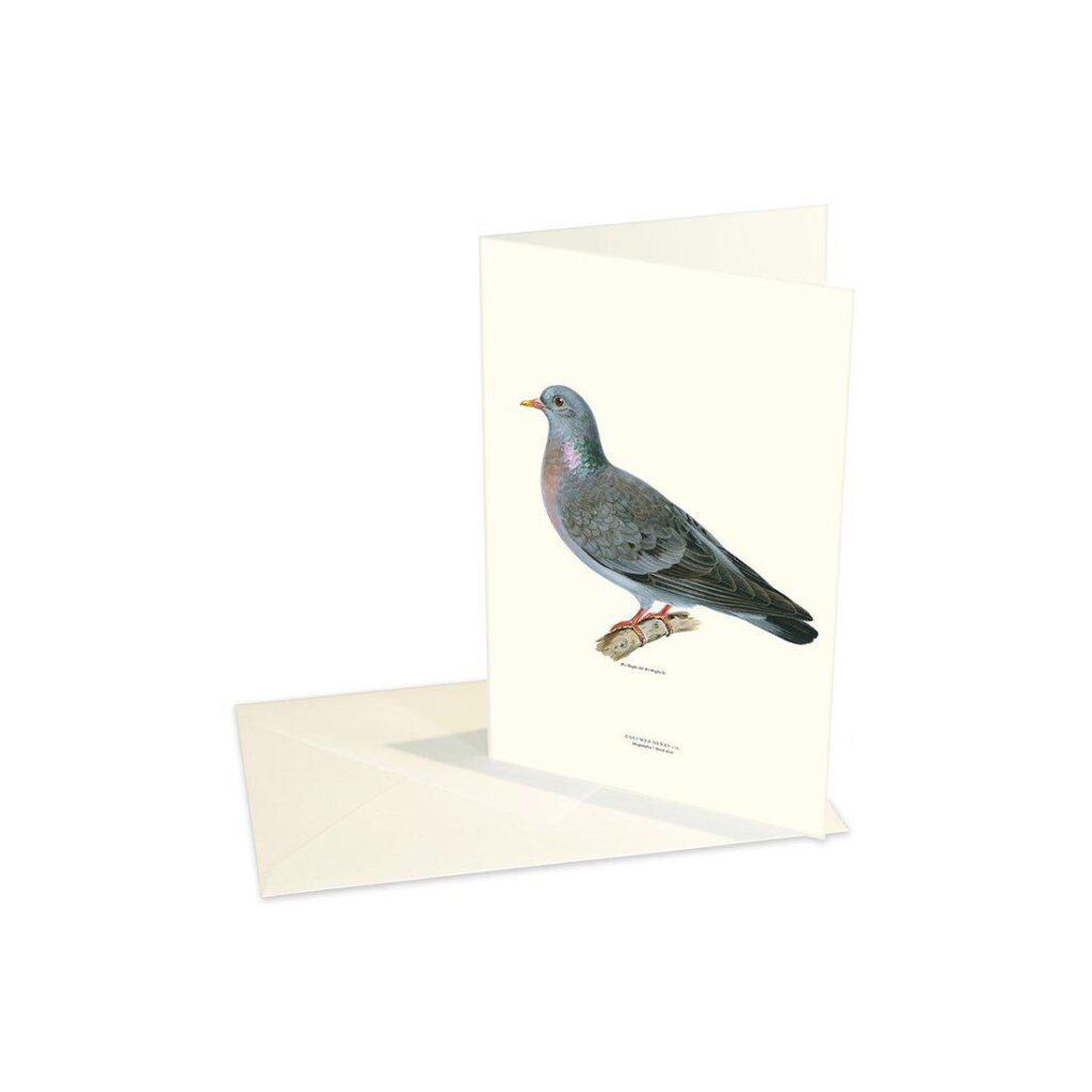 Greeting Card Stock Dove