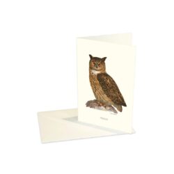 Greeting Card Eagle Owl