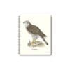 Notebook Eurasian Goshawk 21x26 CM