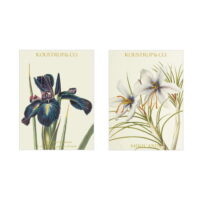 Mini Card Spring - Iris