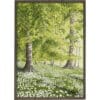 Art Print Spring Forest A2