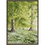 Art Print Spring Forest A2