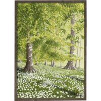 Art Print Spring Forest A2