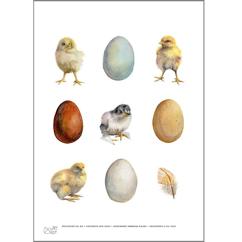 Art Print Eggs Chickens Feather A4