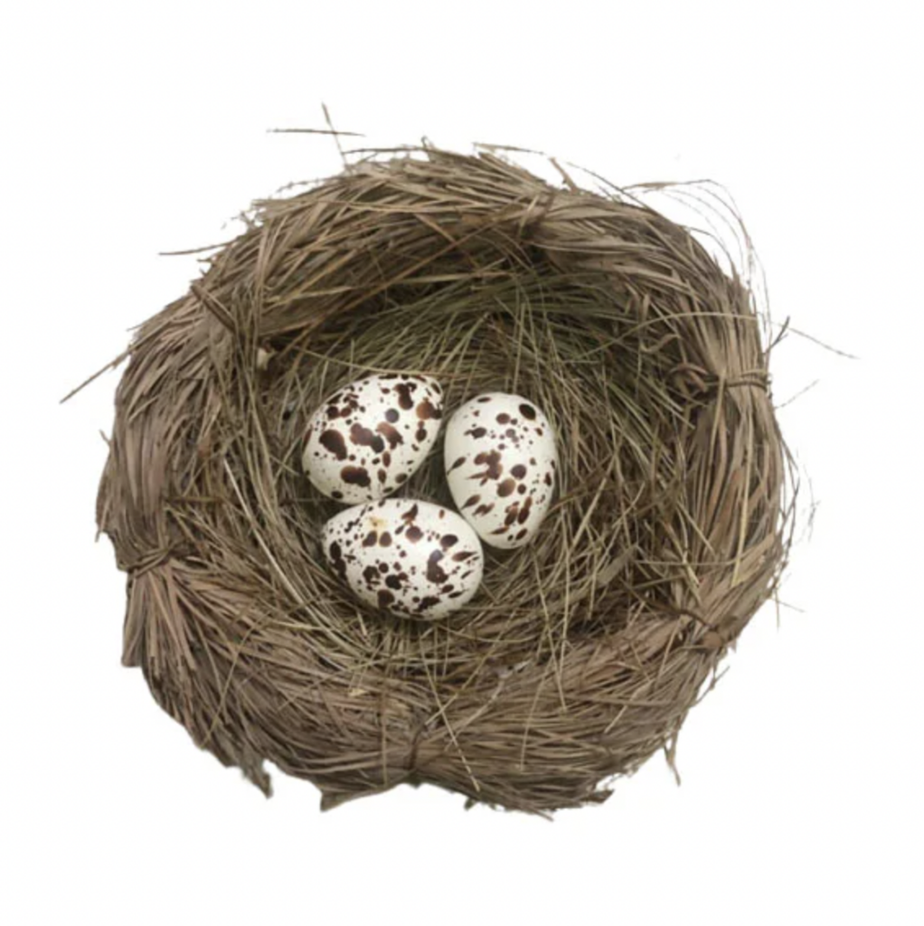 Natural Easter Egg Nest