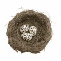 Natural Easter Egg Nest
