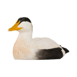 Bottle Opener Eider Duck