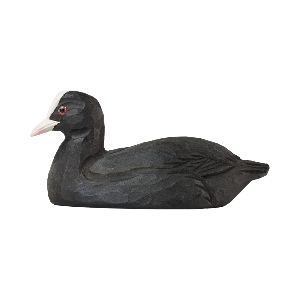 Kapsylöppnare Sothöna - Bild 5