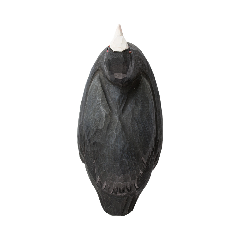 Kapsylöppnare Sothöna - Bild 7