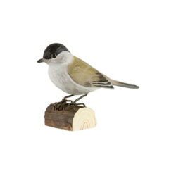 DecoBird Blackcap