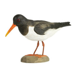 DecoBird Oystercatcher